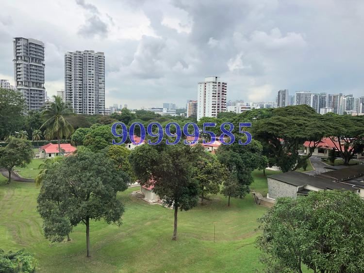 City Suites (D12), Apartment #158267862
